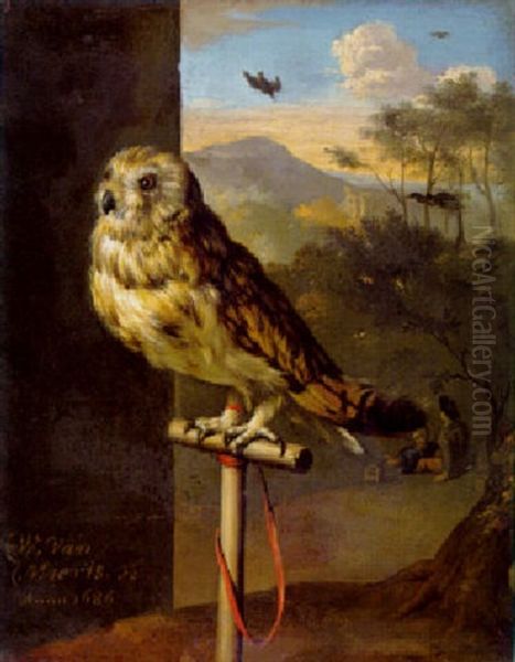 An Owl On A Perch Oil Painting by Willem van Mieris