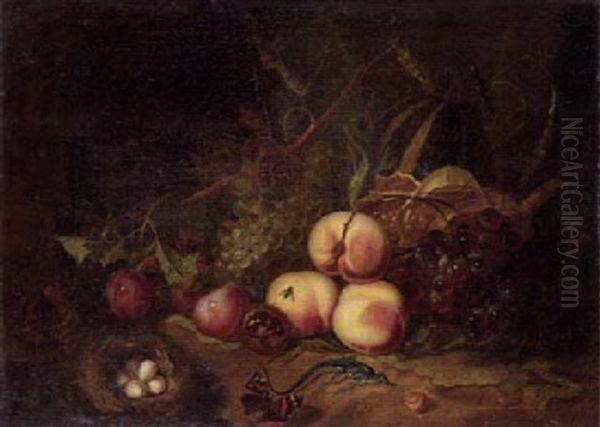 Stilleben Mit Fruchten, Eidechse Und Vogelnest Oil Painting by Abraham Mignon