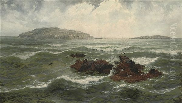 Gulls On A Rocky Outrop Oil Painting by Thomas Rose Miles