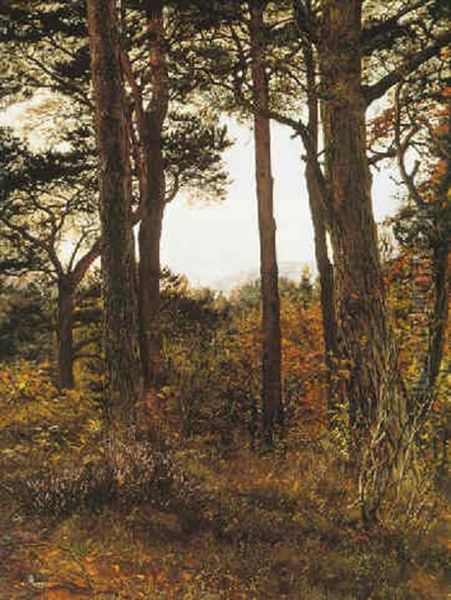 Scotch Firs Oil Painting by John Everett Millais