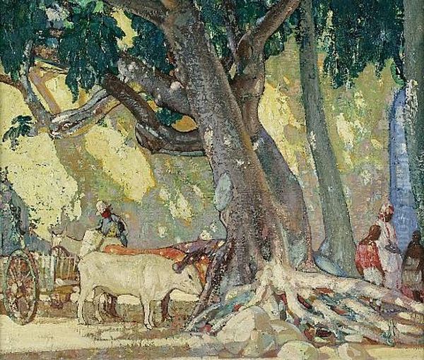 Cotton Silk Tree, St. Thomas, Virgin Islands Oil Painting by Richard Edward Miller