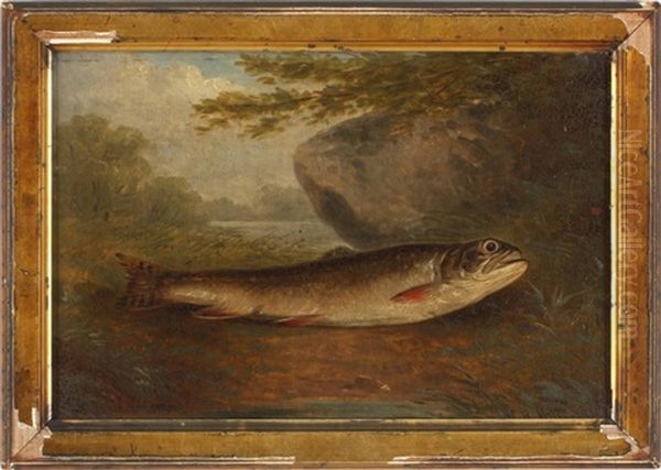 A Trout by William Miller