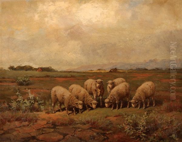 Pastoral Scene With Sheep Oil Painting by Royal Hill Milleson