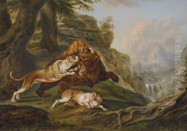 Boarhounds Attacking A Bear Oil Painting by Thaddaus Millian