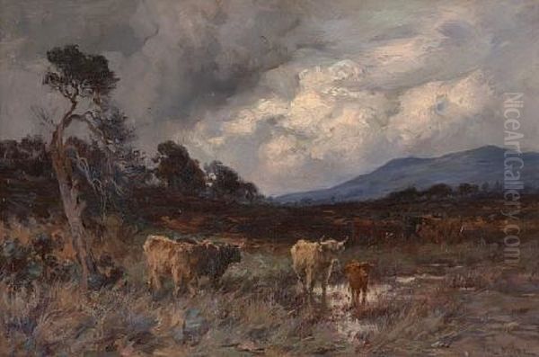 Highland Cattle Oil Painting by Joe Milne