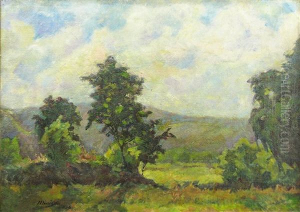 Landscape Oil Painting by Cornel Minisan