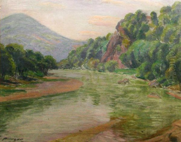 Mures At Soimos Oil Painting by Cornel Minisan