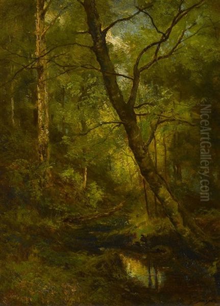 In The Forest - Adirondacks by Robert Crannell Minor