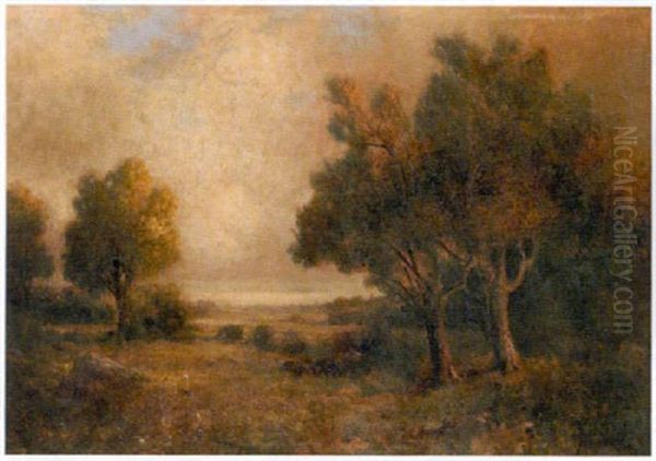 Impressionistic Woodland And Field Landscape by Robert Crannell Minor