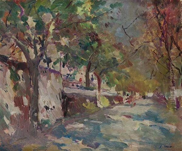 Paseo Con Arboles, Probablemente Los Alrededores De Vilanova Cercano A La Casa Del Artista. Oil Painting by Joaquin Mir Trinxet