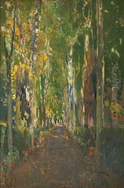 Camino De La Casa Guell, Santa Perpetua De La Mogoda (the Path To Casa Guell) by Joaquin Mir Trinxet