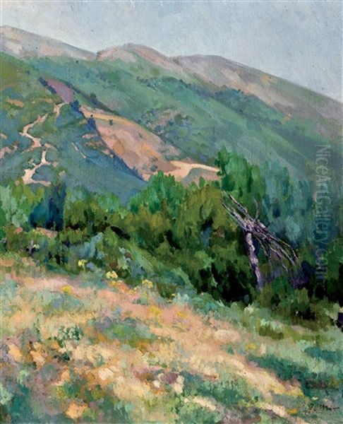 Mir Tpaisaje Oil Painting by Joaquin Mir Trinxet