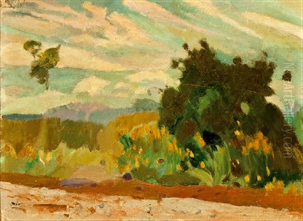 Paisaje Del Valles Oil Painting by Joaquin Mir Trinxet