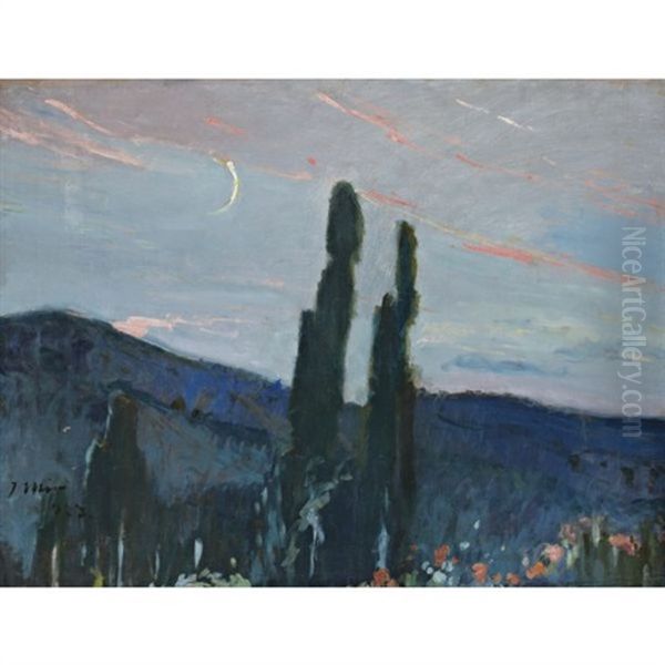 Atardecer (twilight) Oil Painting by Joaquin Mir Trinxet