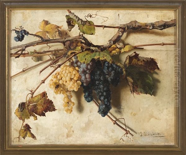 Uvas Oil Painting by Josep Mirabent Gatell