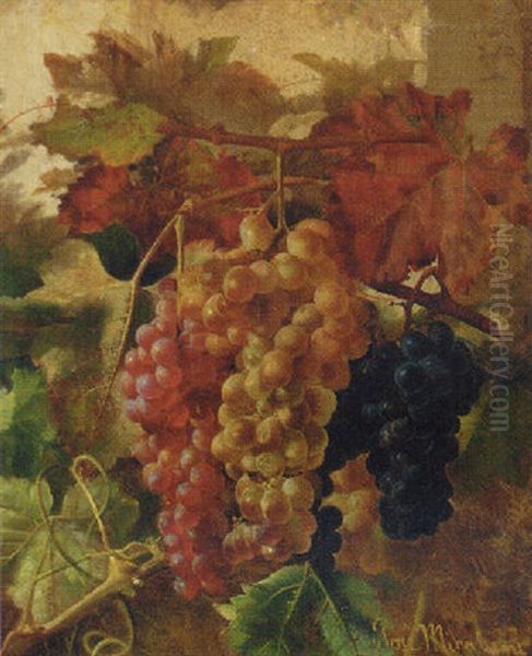 Uvas Oil Painting by Josep Mirabent Gatell