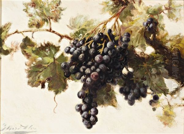 Racimos De Uvas Oil Painting by Gaspar Miro Lleo