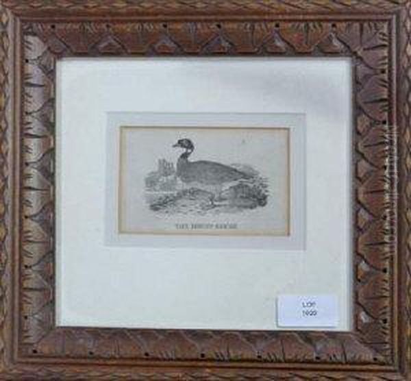 The Brent Goose Oil Painting by Thomas Bewick