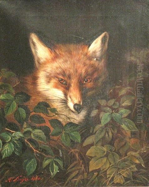 A Fox In The Woods Oil Painting by Alfred Beyer