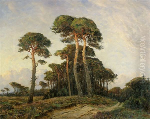 Kieferbaume In Tisvelde Hegn In Nordseeland In Danemark Oil Painting by Ludvig Mogelgaard