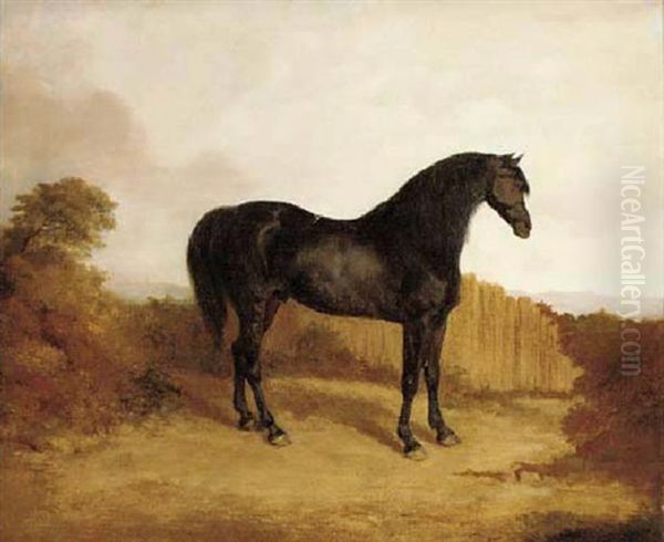 A Liver Chestnut In A Landscape Oil Painting by Thomas Mogford