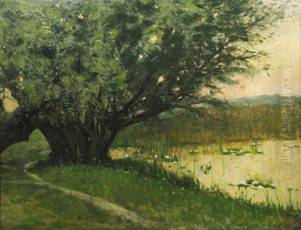 Tree At The Border Of The Pond Oil Painting by Nicolae Petrescu Mogos