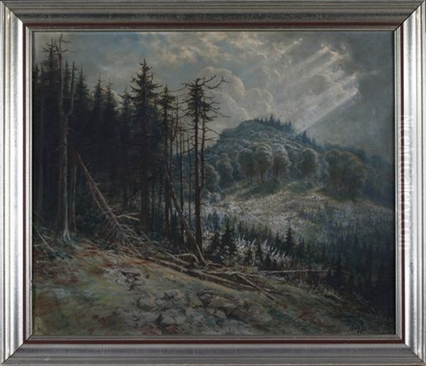 Die Rhon (osthessisches Bergland) Oil Painting by Johann Georg Mohr