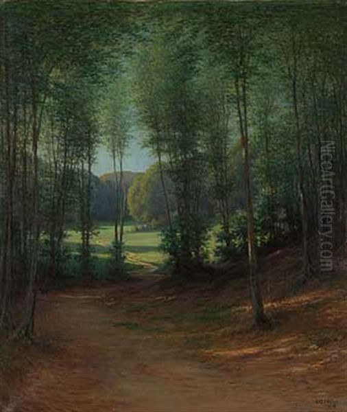 Blick Auf Sommerliche Waldlichtung Oil Painting by Johann Georg Mohr