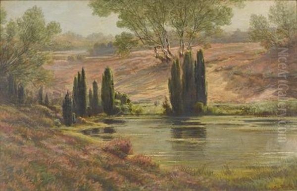 Luneburger Heide Oil Painting by Johann Georg Mohr