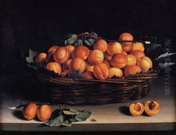 Le Panier D'abricots Oil Painting by Louise Moillon