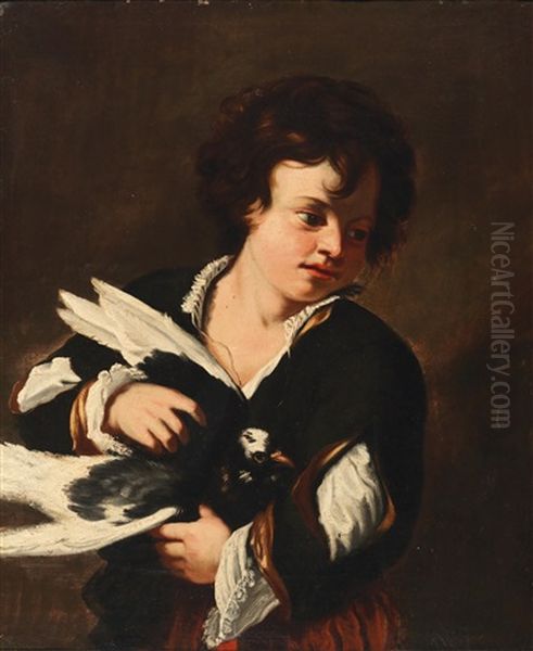 A Boy With A Dove Oil Painting by Pier Francesco Mola