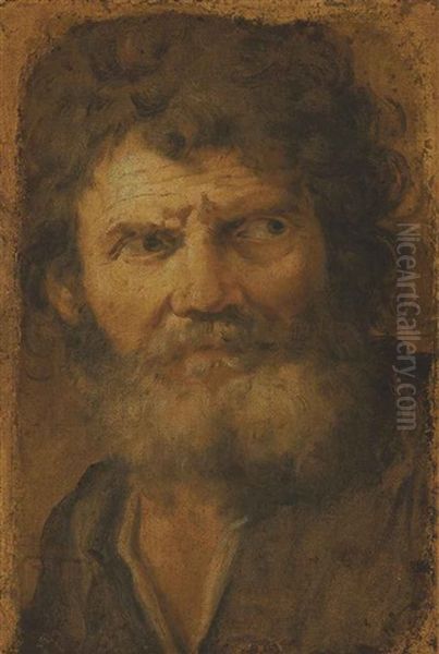 Head Of An Old Man Oil Painting by Pier Francesco Mola