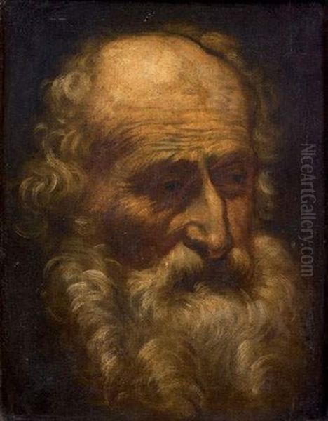 Etude De Tete D'homme Barbu Oil Painting by Pier Francesco Mola