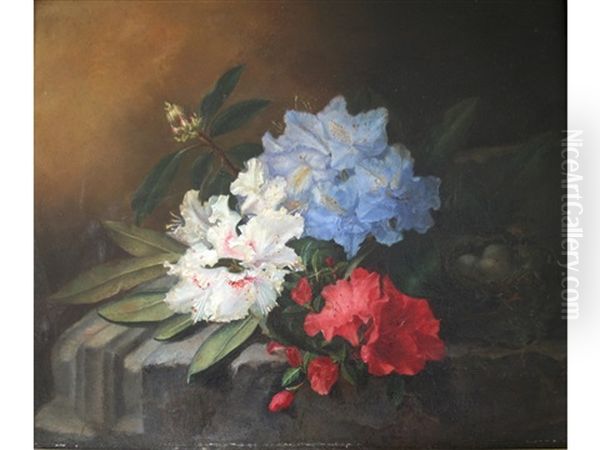 Rhododendrons On A Ledge Oil Painting by Maria Aletta Fennigje Molijn