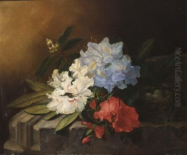 A Still Life With Rhododendrons Oil Painting by Maria Aletta Fennigje Molijn