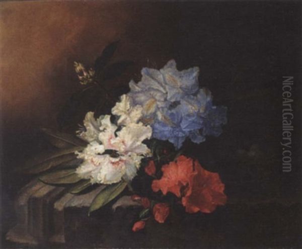 A Still Life With Rhododendrons Oil Painting by Maria Aletta Fennigje Molijn