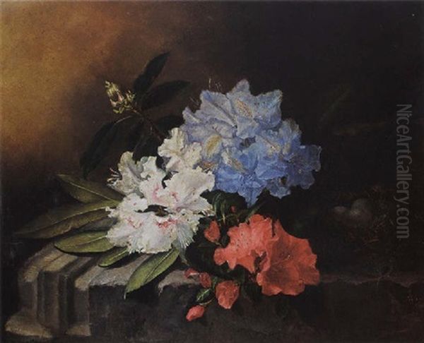 A Still Life With Rhododendrons Oil Painting by Maria Aletta Fennigje Molijn