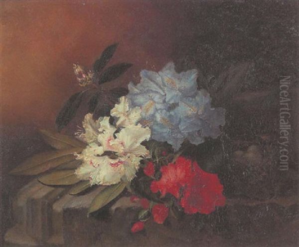 A Still Life Of Flowers Oil Painting by Maria Aletta Fennigje Molijn