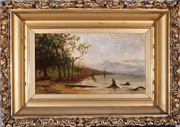 Lakefront, New Orleans Oil Painting by Andres Molinary