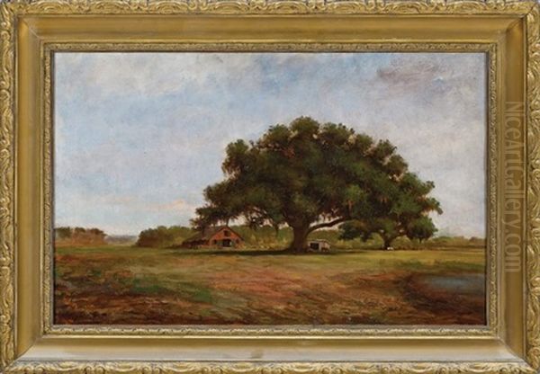 City Park, Old Allard Plantation, New Orleans Oil Painting by Andres Molinary