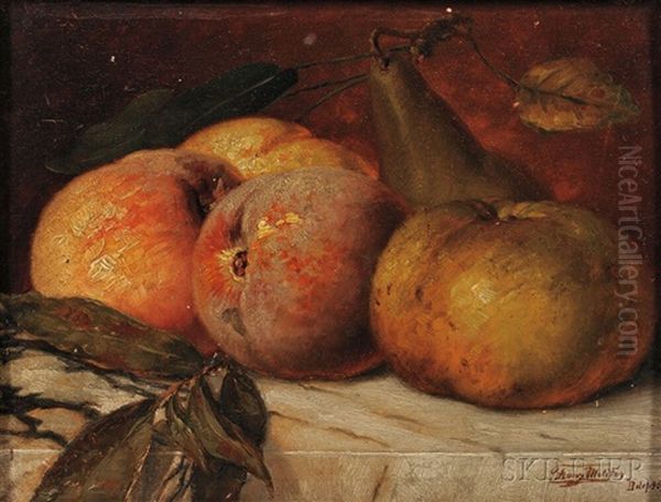 Still Life With Fruit Oil Painting by Franz Molitor