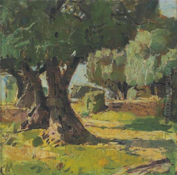 Olivengarten, Provence Oil Painting by Carl Moll