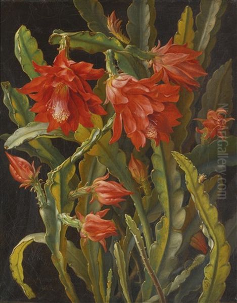 Christmas Cactus Oil Painting by Christian Juel Moellback