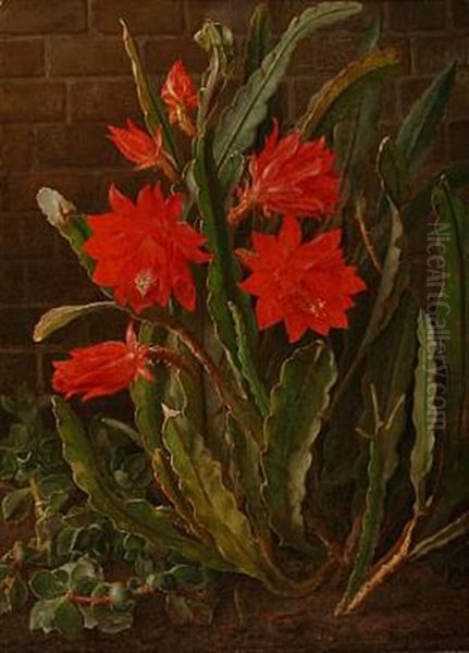 Cactus In Bloom Oil Painting by Christian Juel Moellback