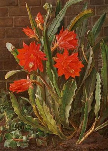 Cactus In Bloom Oil Painting by Christian Juel Moellback