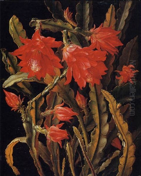 Cactus With Scarlet Blossoms Oil Painting by Christian Juel Moellback