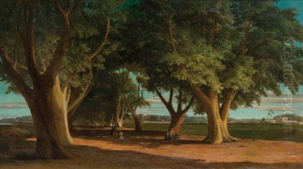 Allee De Choubral/caire Oil Painting by Florent Mols