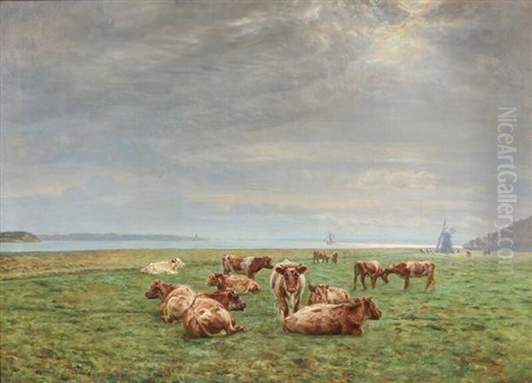 Cows Grazing Near A Coast Oil Painting by Niels Pedersen Mols