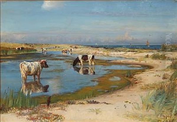 Beach Scene From Rorvig With Grazing Cows, Denmark Oil Painting by Niels Pedersen Mols