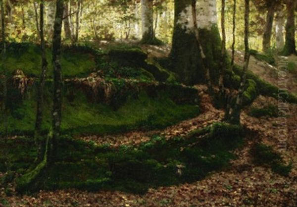 Blick In Lichten Birkenwald Oil Painting by Jean Ferdinand Monchablon